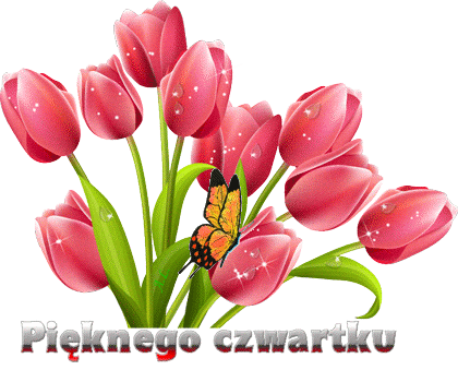 Pięknego czwartku tulipany